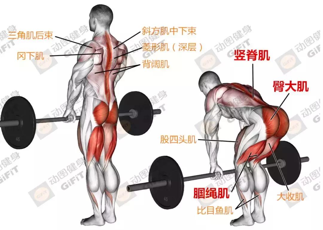 女生健身房器械训练计划一周,初中生健身房器械训练计划