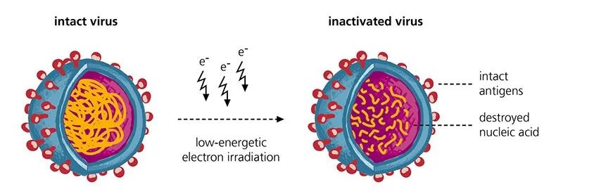 大家对新冠疫苗的看法采访,新冠疫苗第2剂接种