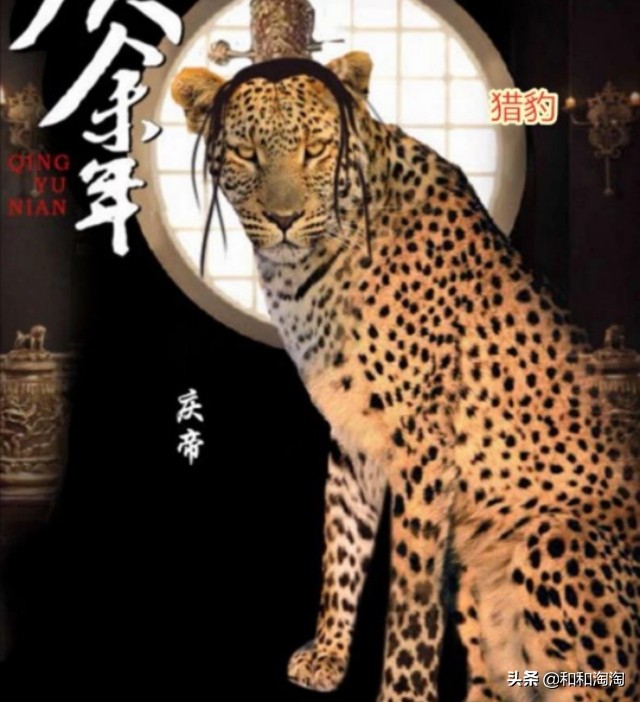 庆余年羊驼搞笑,庆余年动物搞笑图片