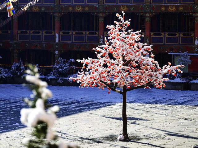 乾隆赐名最大的寺庙,乾隆题字的寺庙