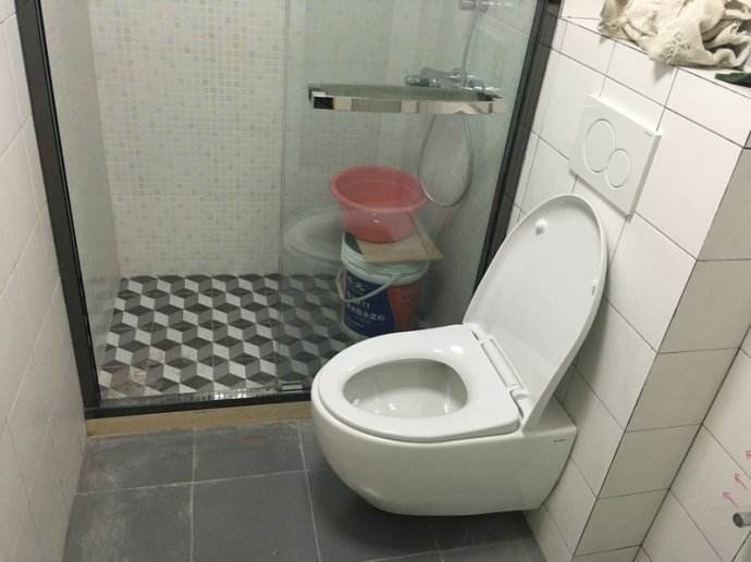 壁挂马桶这么火，为啥很少家庭会用？听完专家分析，总算明白了