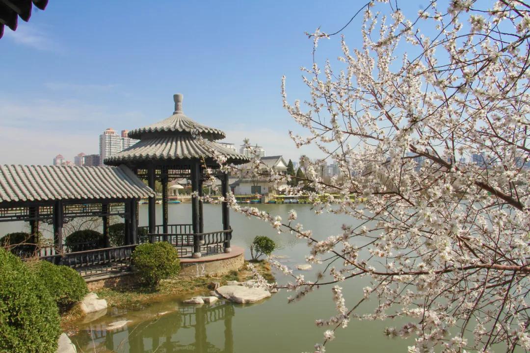 天津西青郊野公园开放最新通知,天津临港亲海公园什么时候开放