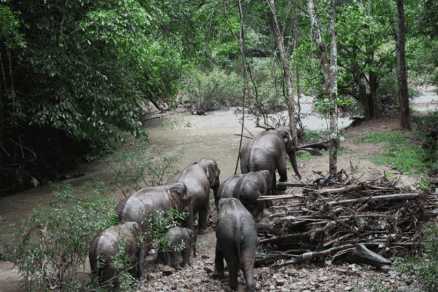 西双版纳最值得一去的景点大排名,西双版纳适合6-12岁儿童的景点