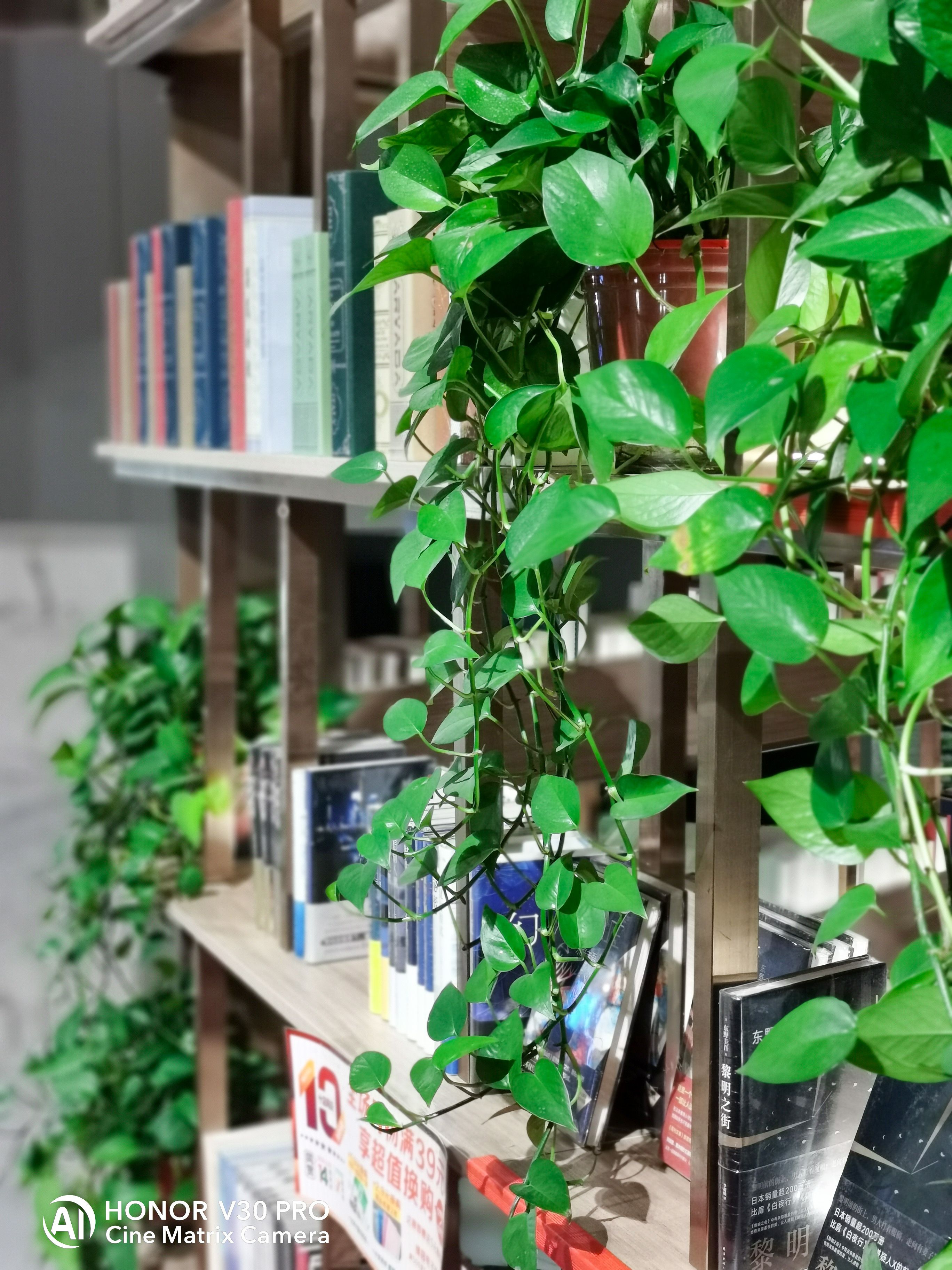 光荣v30pro相机各种最佳效果设置,光荣v30pro和光荣30pro对比拍照