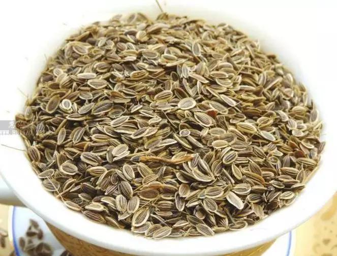 香料植物有哪几种,香料植物与成品解析