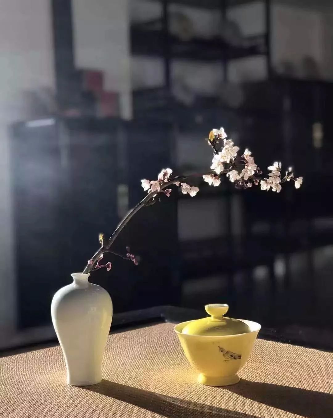 吾莫青庐剧照,吾莫青庐下午茶