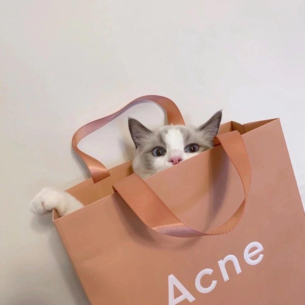 句子丧短句,句子很丧