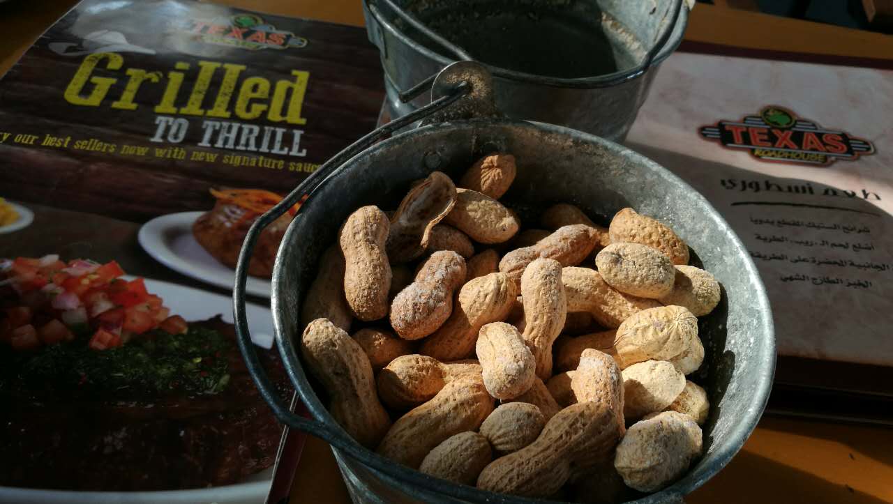 美丽的迪拜之旅你不容错过,畅游奢华迪拜