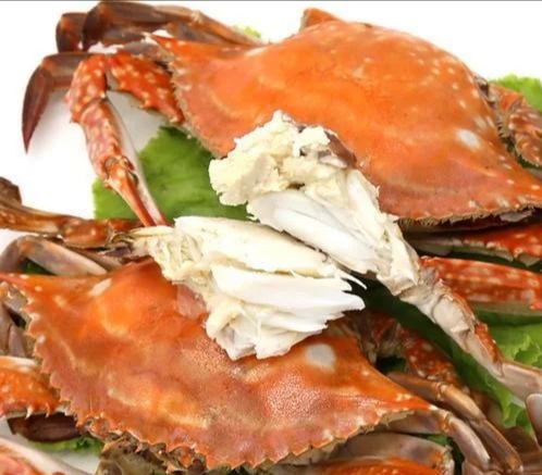 怎么区分螃蟹是否注水状态,螃蟹怎么辨别好坏