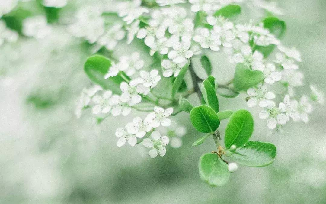 当你一无所有的时候健康是你唯一,当你一无所有的时候谁会帮你