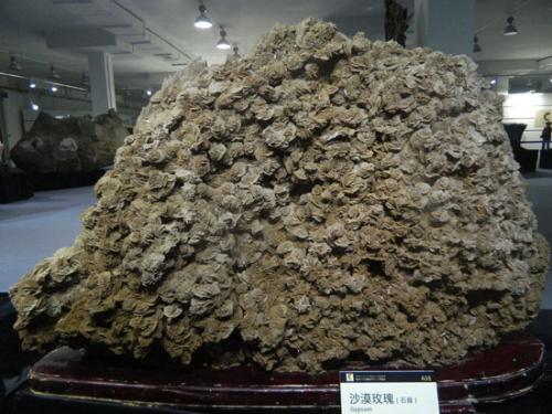 为啥在沙漠里见到石头要捡起来,在沙漠里看见石头为什么要捡起来