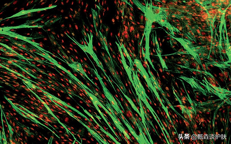 欧莱雅太空霜多少钱一瓶,扒一扒欧莱雅太空霜的真实效果