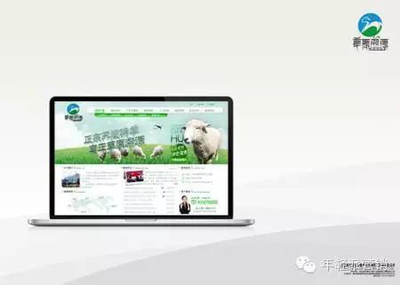 策划案例：好产品卖出高价值？助内蒙古苏尼特羊肉卖出中国最贵羊