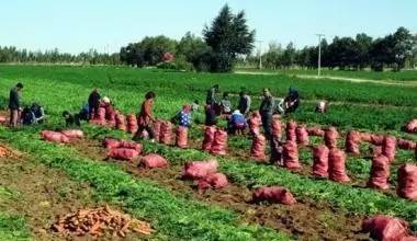 国家农业综合开发项目,国家现代农业产业园有何扶持政策