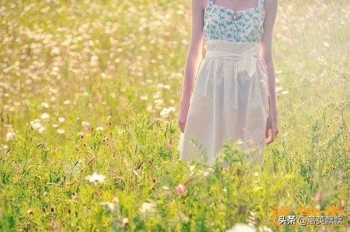 落英悠然经典诗句,落英原创古风诗句