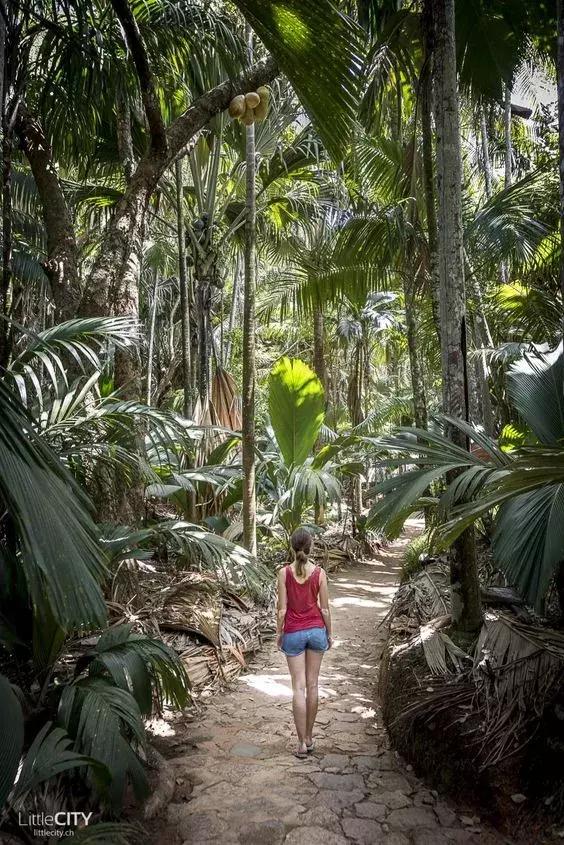 免签的亚洲海滩,六个免签海岛颜值完爆马岱
