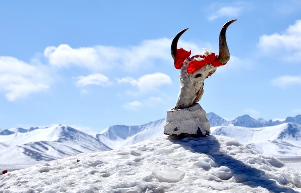 在高原一定要注意健康,去高原可以吃药吗