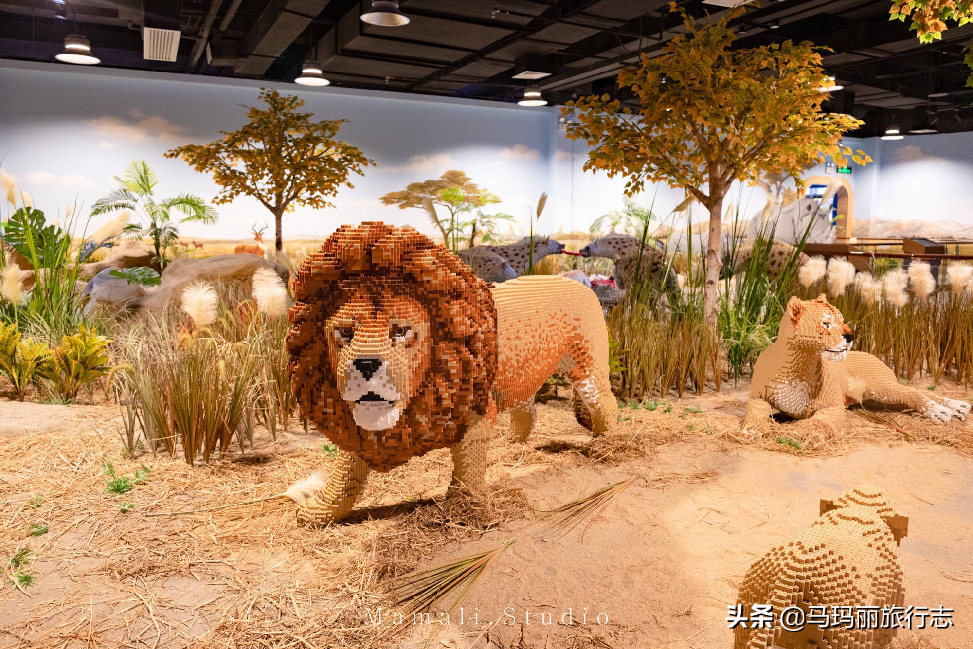 深圳遛娃50个必去的主题公园,深圳儿童游乐园排名榜旅游攻略