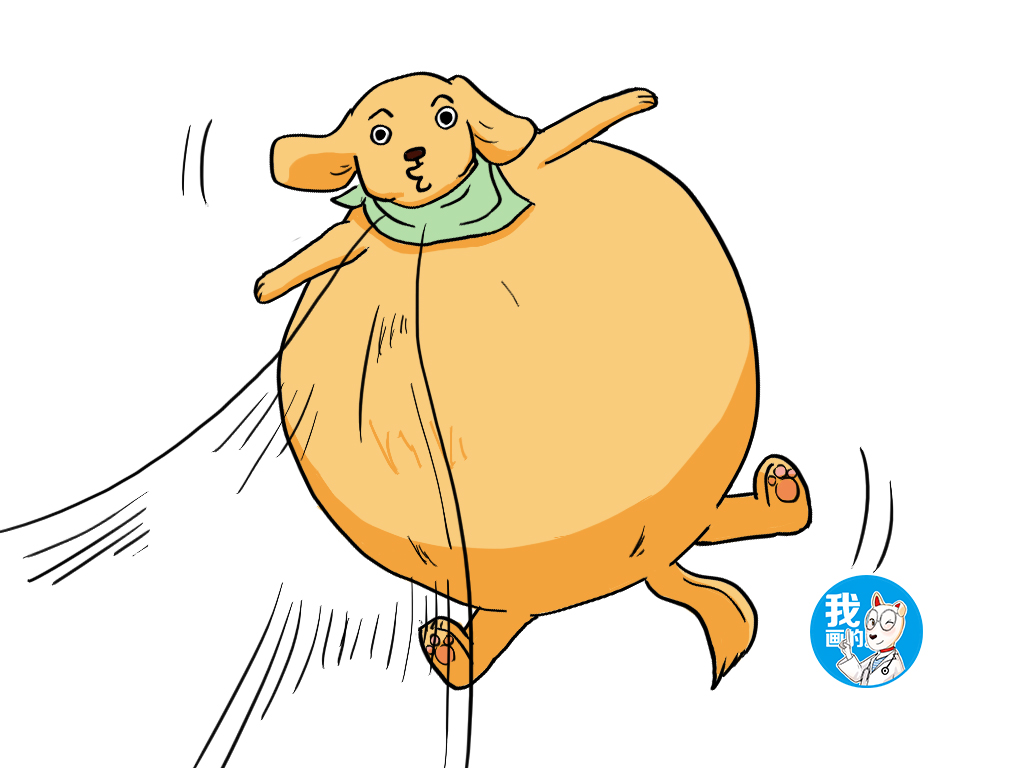 狗狗胀气有什么症状和表现,狗狗胀气的症状及解决方法