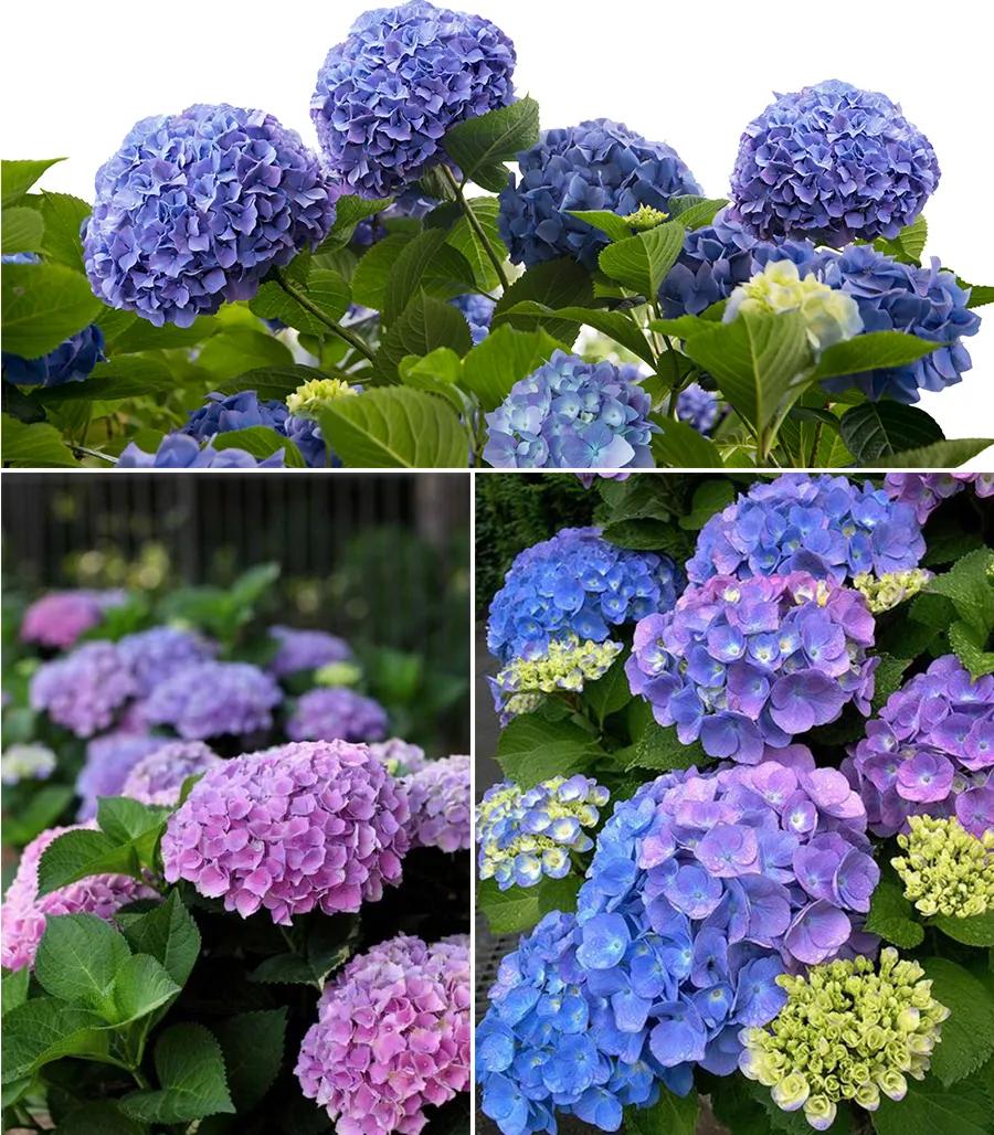 儿童画水粉画教学简单6-9岁风景画,水粉画太阳儿童简单教程