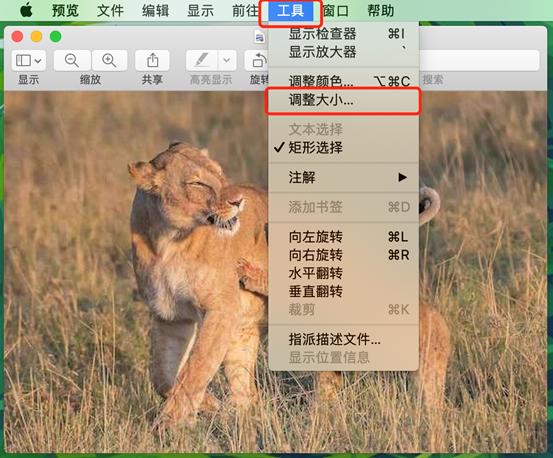 mac苹果快捷指令玩法大全,苹果使用小技巧教程视频