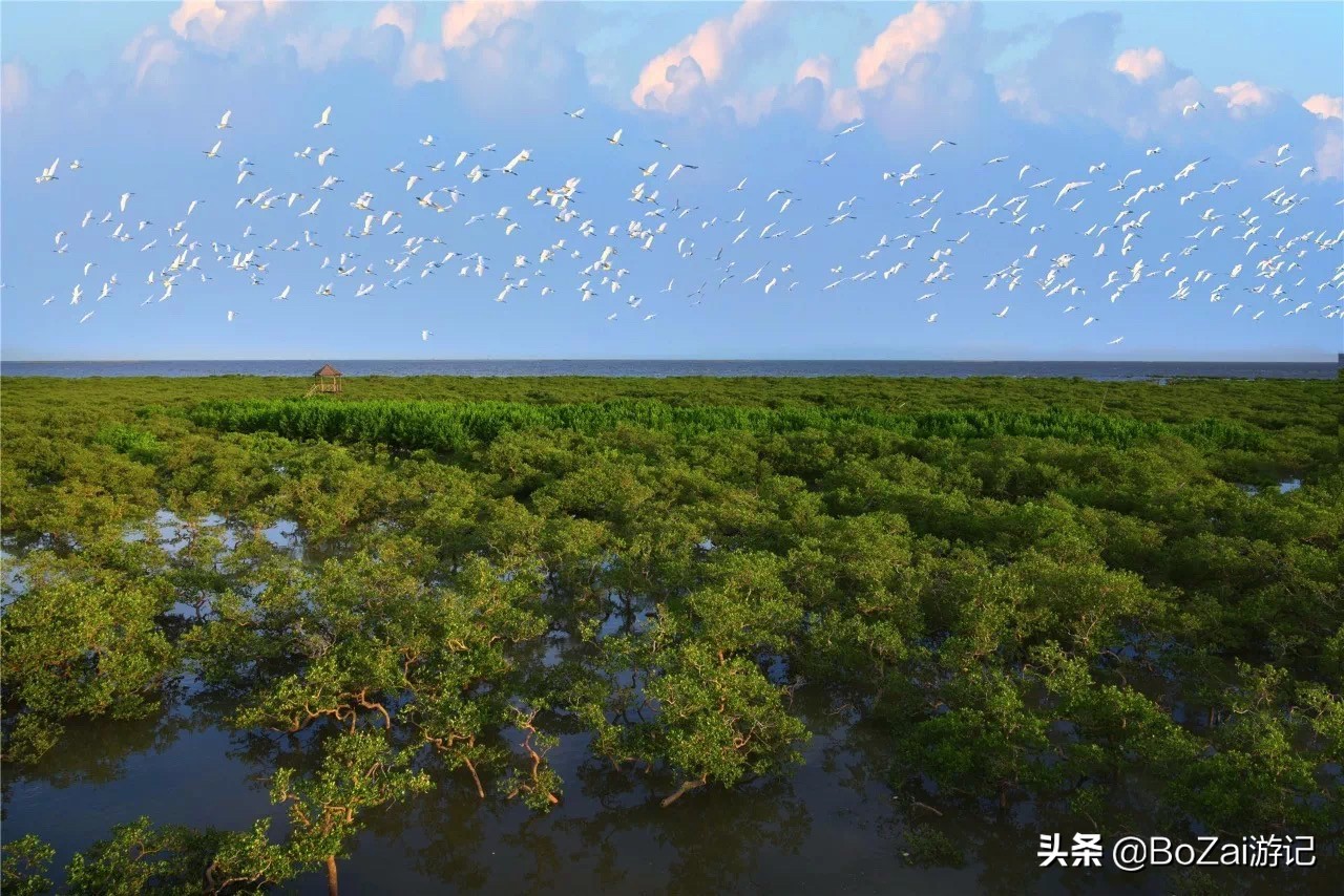 去广西北海旅游景点攻略,广西北海旅游攻略必去景点有哪些