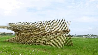 来成都打卡空港花田,成都双流空港花田打卡看飞机