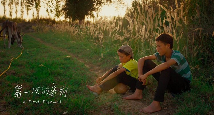 油画般的电影风格,油画般画质的电影