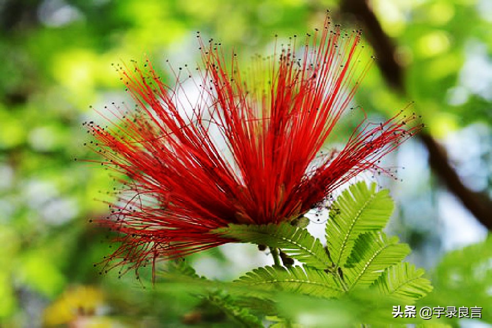 增长人生智慧的经典良言,老一辈人的智慧良言