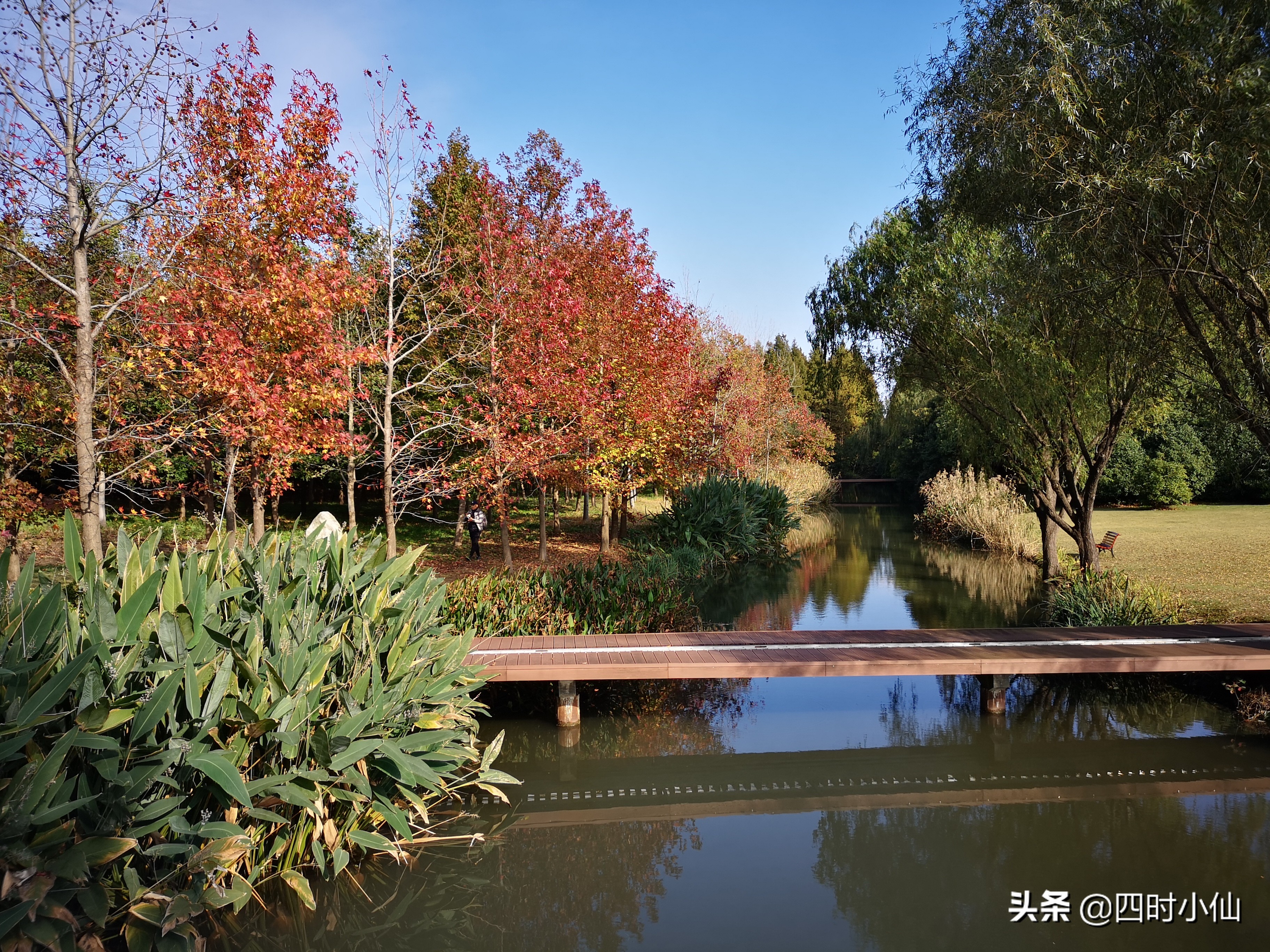 孩子写作文思路乱用思维导图,思维导图教小孩写作文