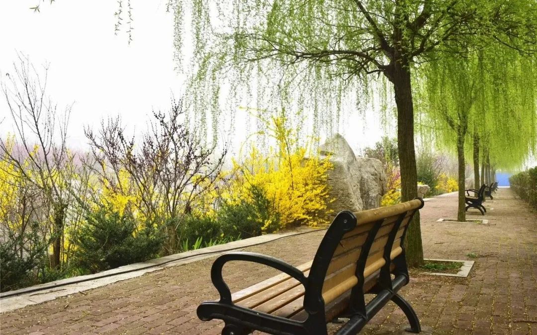 青岛黄海学院2020年本科招生简章,青岛黄海学院2023招生简章章程