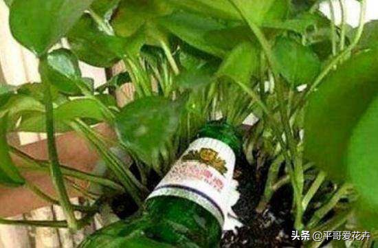 鐜嬪ぇ濡堝吇缁胯悵缁忛獙,鍚村ぇ濡堝吇缁胯悵鏂规硶