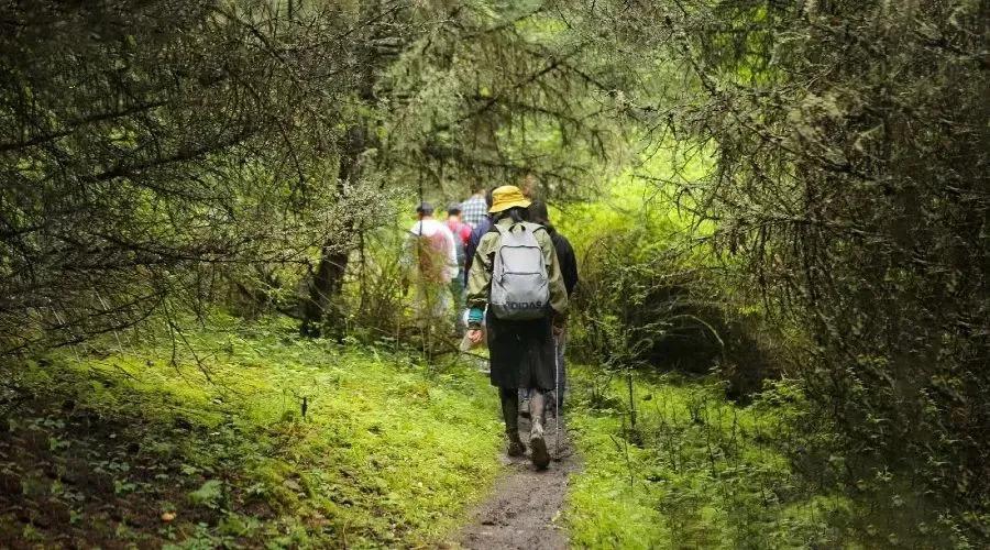 泰国西双版纳旅行,西双版纳基诺山热带雨林徒步