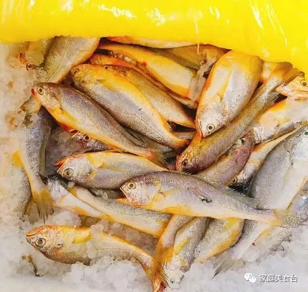 市场能买到的纯正海鱼有哪些,最便宜实惠的海鱼