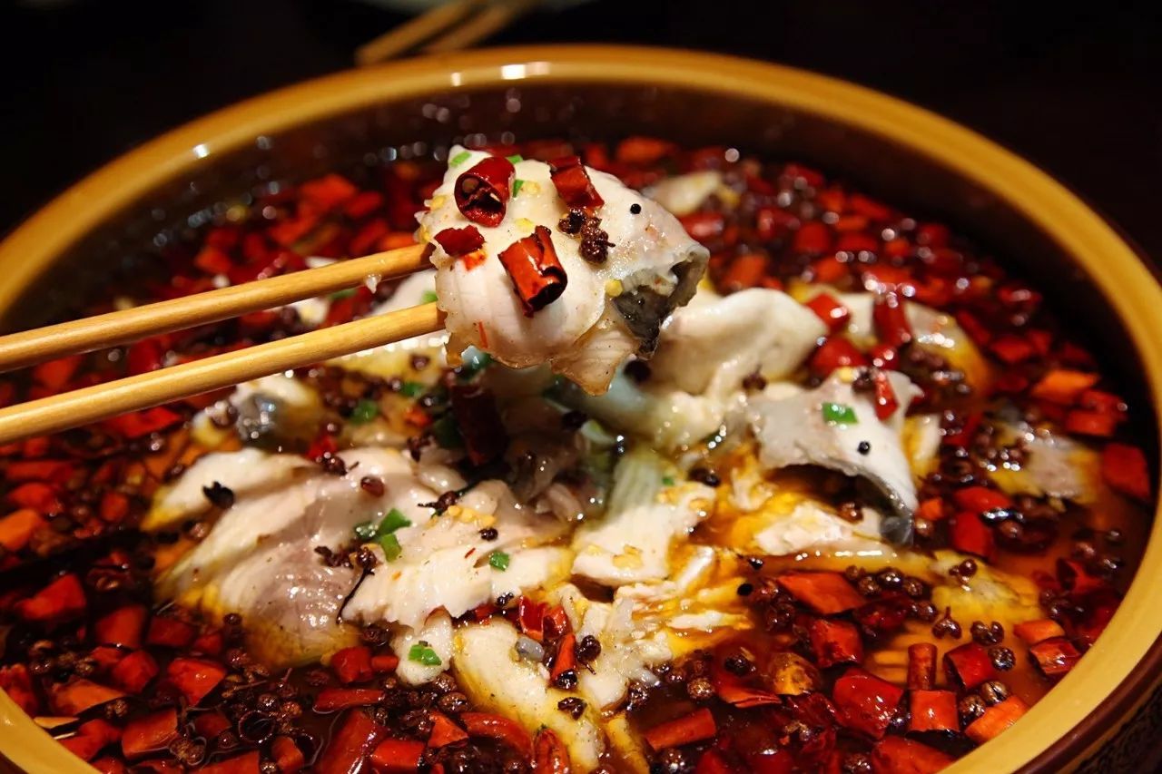 钓草鱼的最佳饵料比例,钓草鱼技巧与多种饵料选择