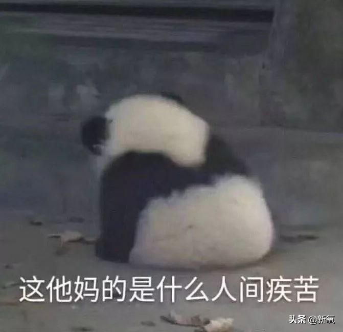 去日本买什么药妆好,去日本必买大牌化妆品