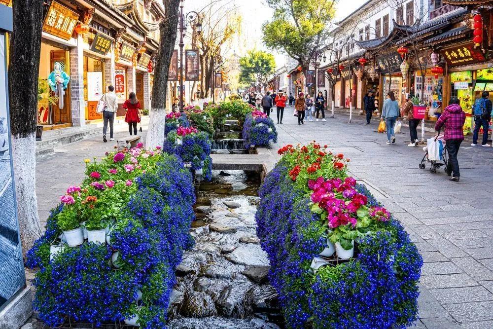 瞧！这花花世界谁不爱