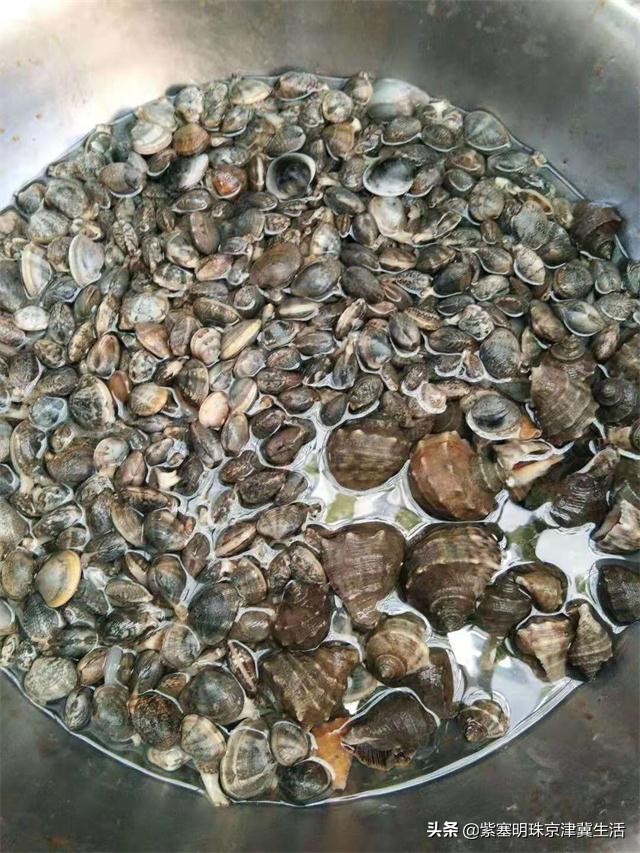 乐亭韩姐农家院价格,韩姐在乐亭农家最新视频