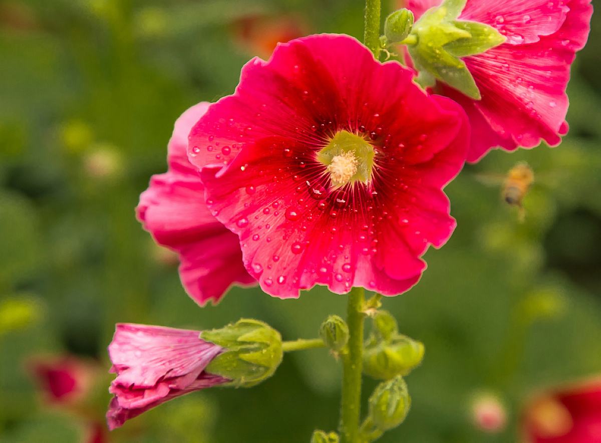 高考文言文实词高频知识手册,高考文言实词易错考点归纳