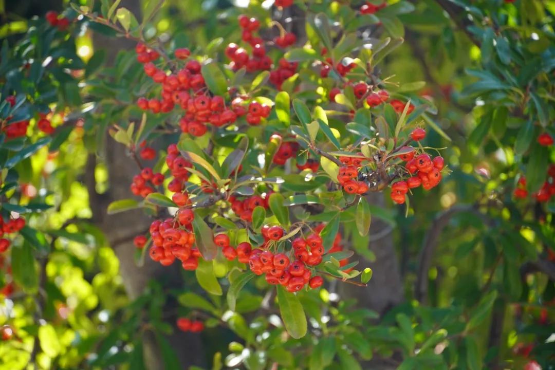 瞧！这花花世界谁不爱