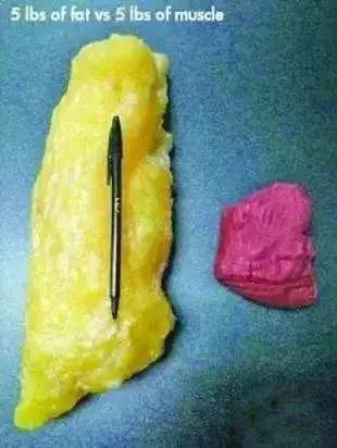 刘亦菲木兰照,刘亦菲的木兰美爆了