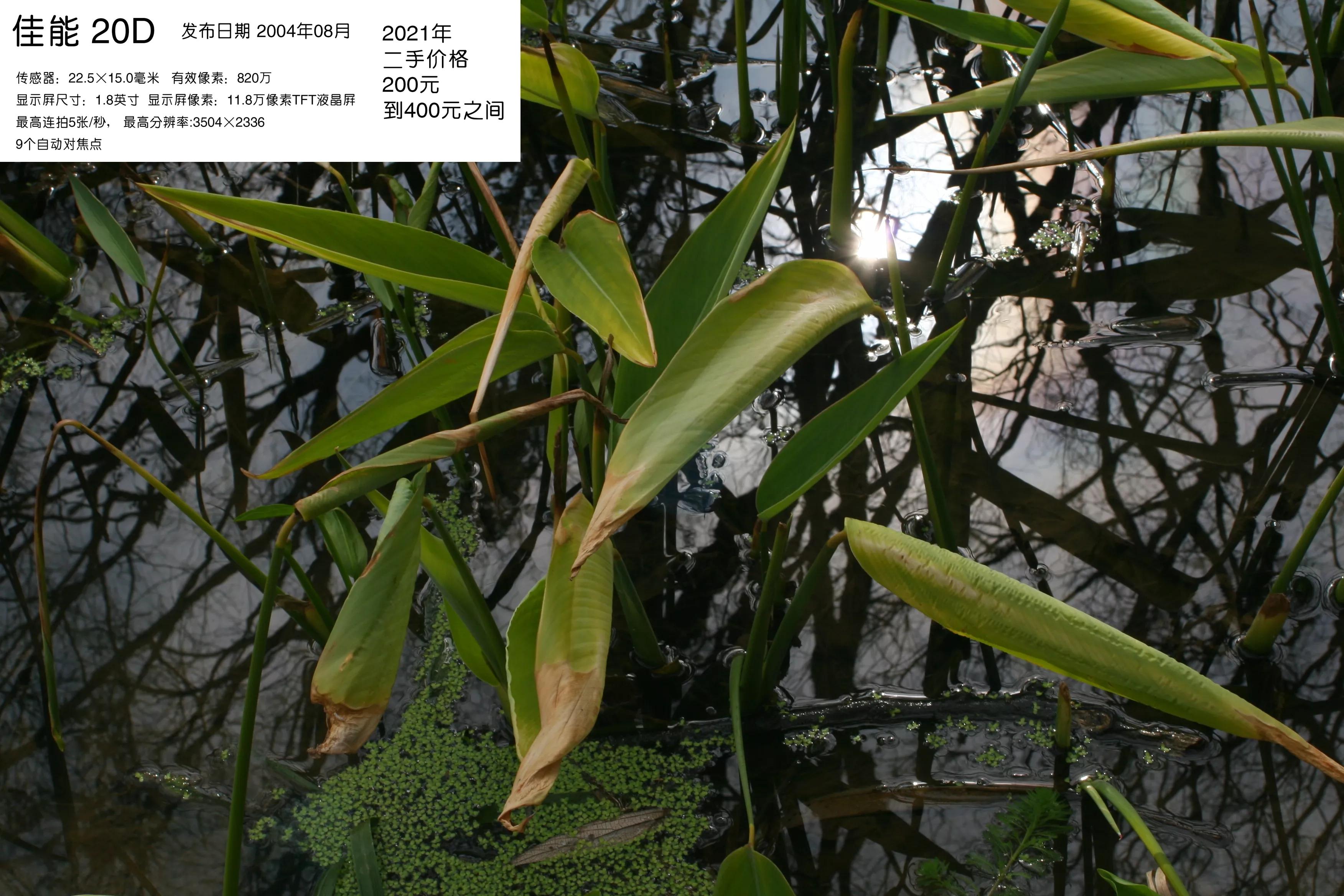 去学摄影花费2w到底值不值得,想学摄影不知道从哪里入手