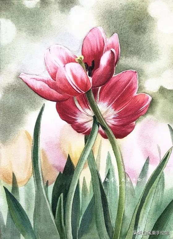 怎么用水彩笔画郁金香教程,粉色水彩郁金香怎么画图片