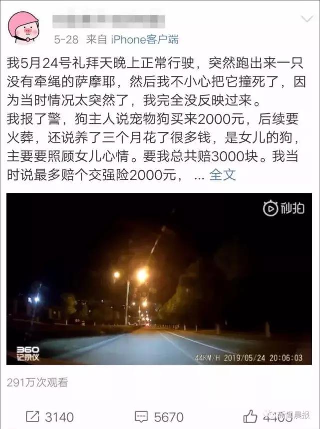 男子被一只狗疯咬,狗被狗咬出血会自愈吗