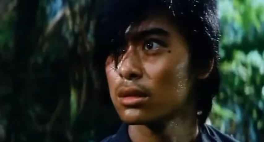 樊少皇和利智的电影全集,樊少皇利智参演