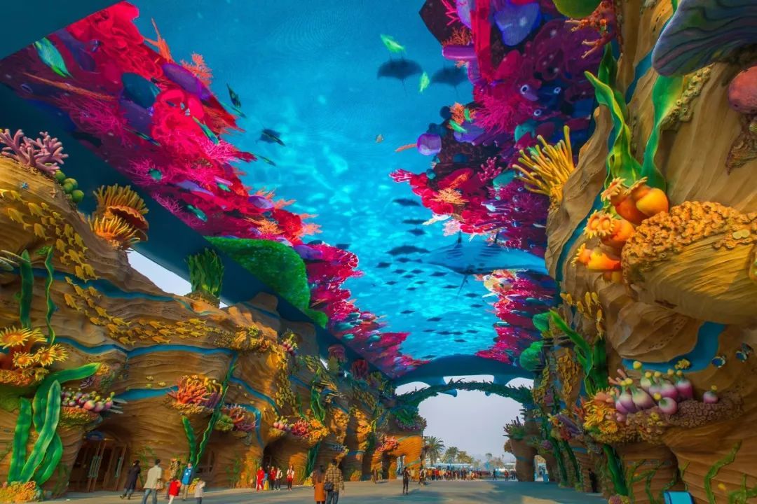 珠海长隆海洋王国官网预约,珠海长隆海洋王国英语介绍