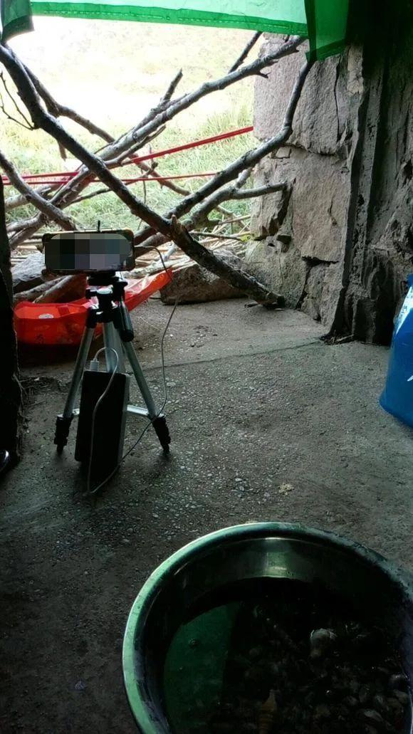 在隐居吧里，我看到了43万社畜的真实生活