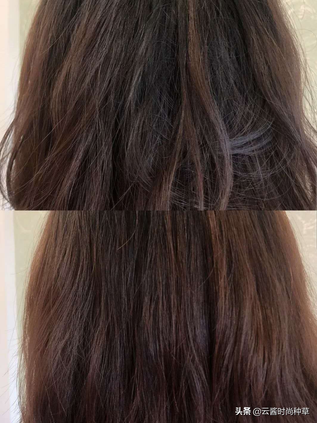 海飞丝强劲对手出现！去屑控油又止痒，李佳琦直播狂卖3万瓶