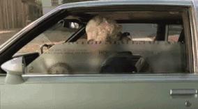 这个国家女人养家、男人带娃，汉堡王里面蒸桑拿，你知道吗？