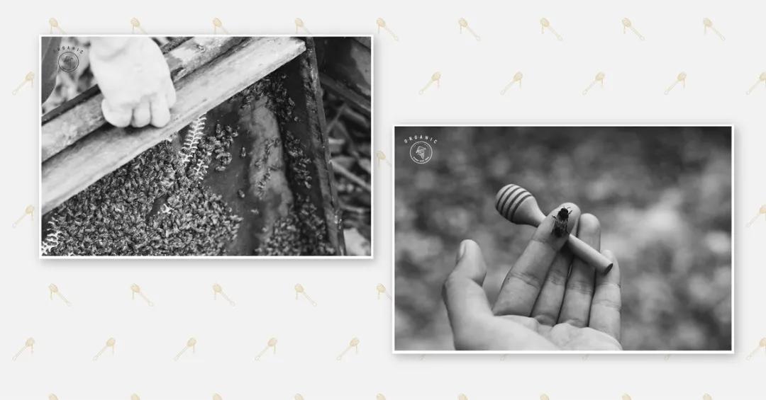 蜂蜜插画包装设计创意,高端蜂蜜产品包装设计